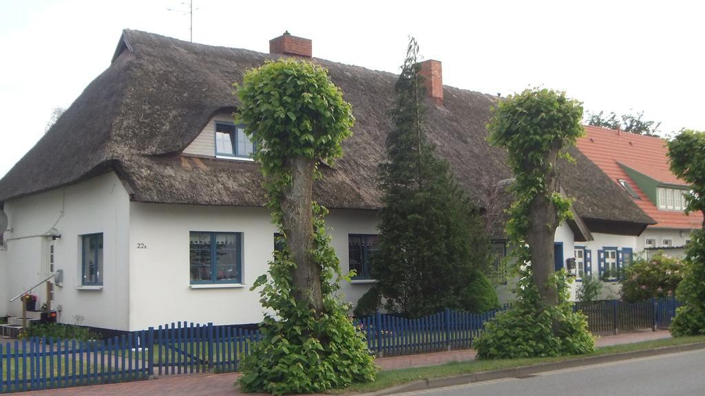 Residenz Lausitz Apartment Graal-Mueritz Exterior foto